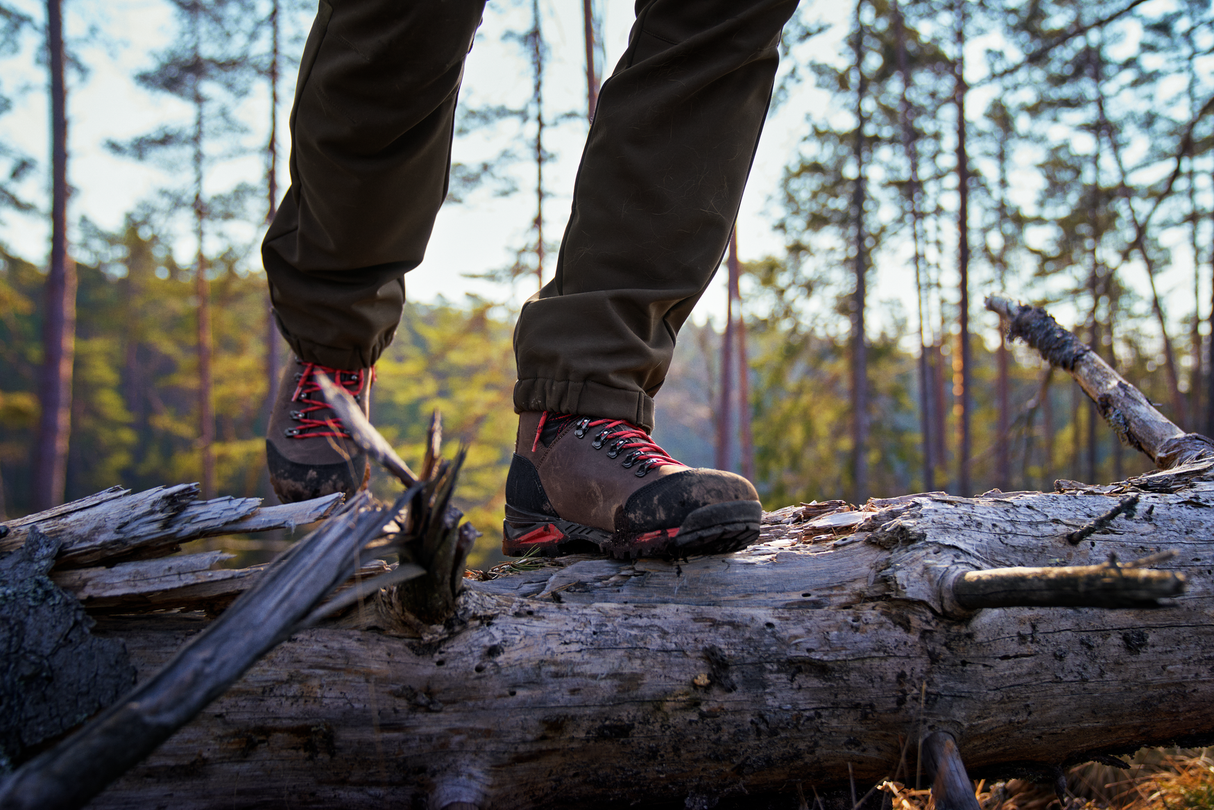 Härkila Forest Hunter Mid GTX Støvle - Herre - Dark Brown